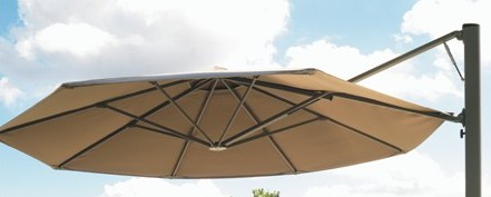 MALAGA CANOPY